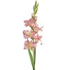 KWIAT NATU 434 88 CM ZIELONY