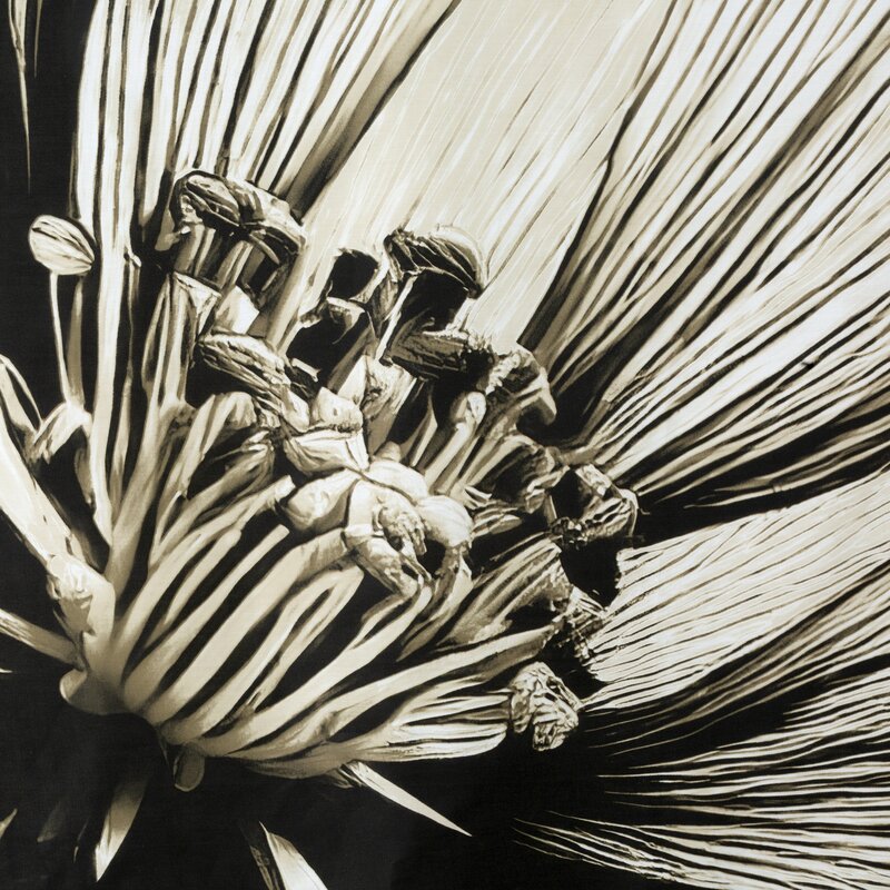 Pościel satynowa Spring 78 jasnobeżowa 220 x 200 cm – elegancki wzór kwiatowy