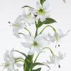 Kwiat Natura biały 83 cm – idealny do wazonu