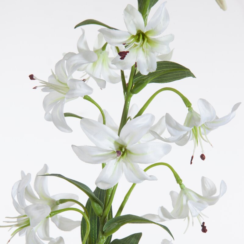 Kwiat Natura biały 83 cm – idealny do wazonu