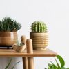 Doniczka ceramiczna jasnobrązowa fi 19 x 15 cm – wprowadza ciepło