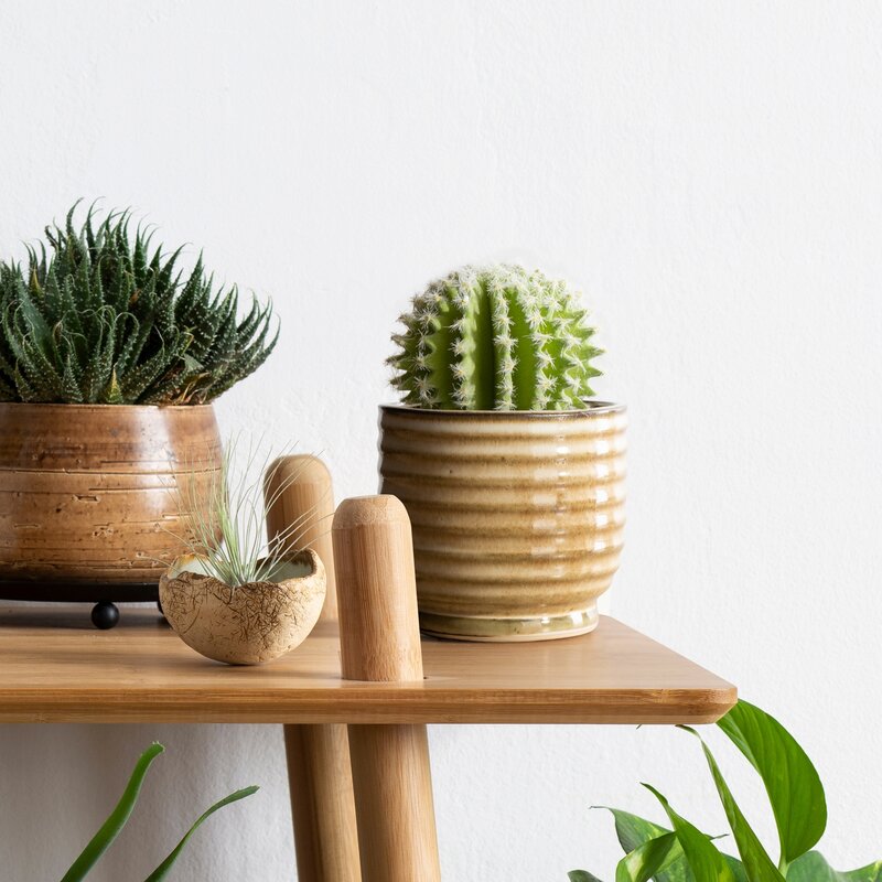 Doniczka ceramiczna jasnobrązowa fi 19 x 15 cm – wprowadza ciepło