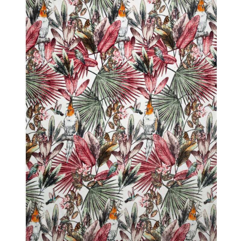 Koc flano D91 Parrot zielony 150 X 200 CM – miękki, egzotyczny wzór