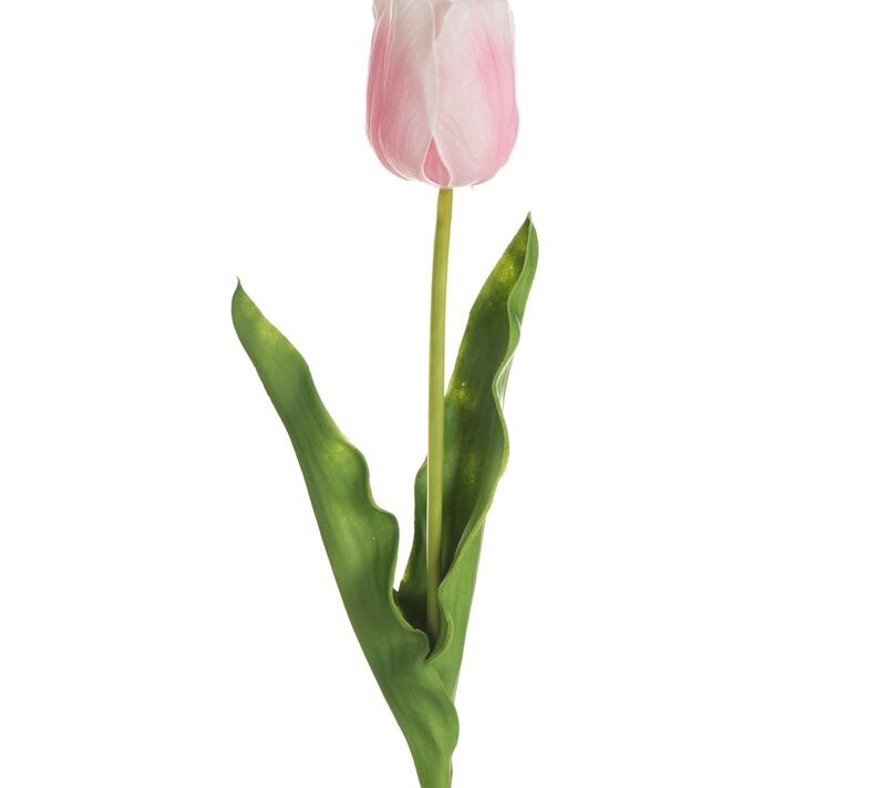 Tulipan kwiat 477 jasnoróżowy 56 cm – rozjaśni wnętrze
