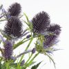 Kwiat dekoracyjny Natura fioletowy 68 cm – doda charakteru wnętrzu