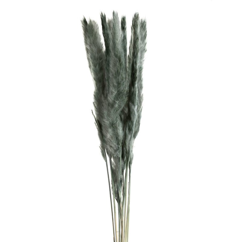 Kwiaty suszone Natura 10 miętowe 75 cm – doda uroku wnętrzu