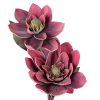 KWIAT FLORE 688 FI 40 X 80 CM NIEBIESKI