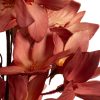 Kwiat dekoracyjny Flore 797 bordowy 75 cm – idealny do kompozycji