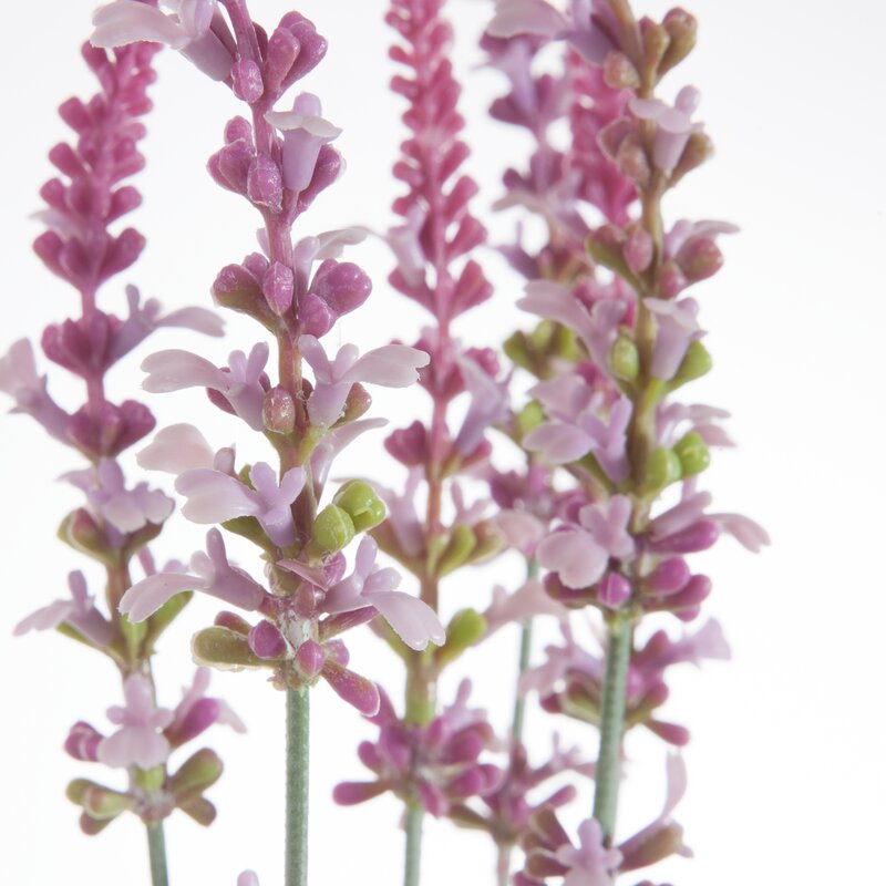 Kwiat Natura wrzosowy 56 cm – wprowadza spokój