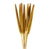 KWIAT NATURA 01 68 CM ŻÓŁTY
