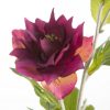 Kwiat dekoracyjny ciemnofioletowy 65 cm – doda elegancji wnętrzu
