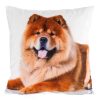 Poszewka dekoracyjna Animal biała 45 x 45 cm – doda uroku wnętrzu