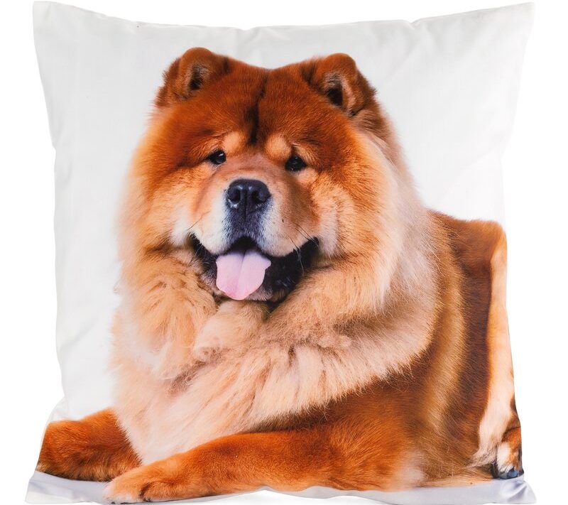 Poszewka na poduszkę z psem biała 45 x 45 cm – idealna dekoracja