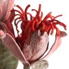 KWIAT FLORE 771 95 CM CZERWONY