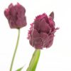 Kwiaty Fioletowe 43 cm – piękna dekoracja stołu