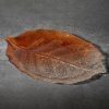 Patera szklana Sava pomarańczowa 35 x 24 x 3 cm – idealna na owoce