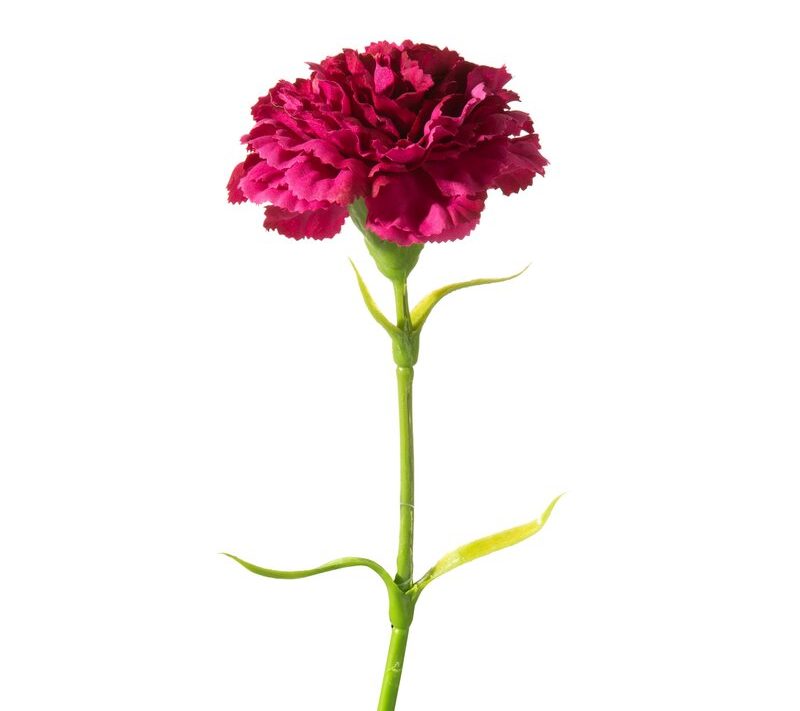 Kwiat Natura amarantowy fi 8 x 40 cm – piękna dekoracja do wazonu
