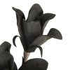 KWIAT FLORE 808 52 CM CZARNY