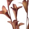 Kwiat Flore różowy 92 cm – doda uroku wnętrzu