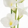 Kwiat Natura kremowy 85 cm – doda wnętrzu świeżości