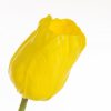 Kwiat NATU tulipan żółty 56 cm – ożywi wnętrze