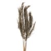 KWIAT NATURA 15 73 CM NATURALNY