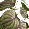 Kwiat Natura zielony 30 cm – ożywia wnętrze bez pielęgnacji
