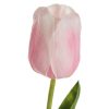 Tulipan kwiat 477 jasnoróżowy 56 cm – rozjaśni wnętrze