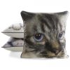 Poszewka velvet z kotem beżowa 45 x 45 cm – wprowadza przytulność