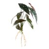 Kwiat Natura zielony 40 cm – ożywi Twoje wnętrze
