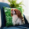 Poszewka dekoracyjna Animal zielona 45 x 45 cm – wprowadza radość