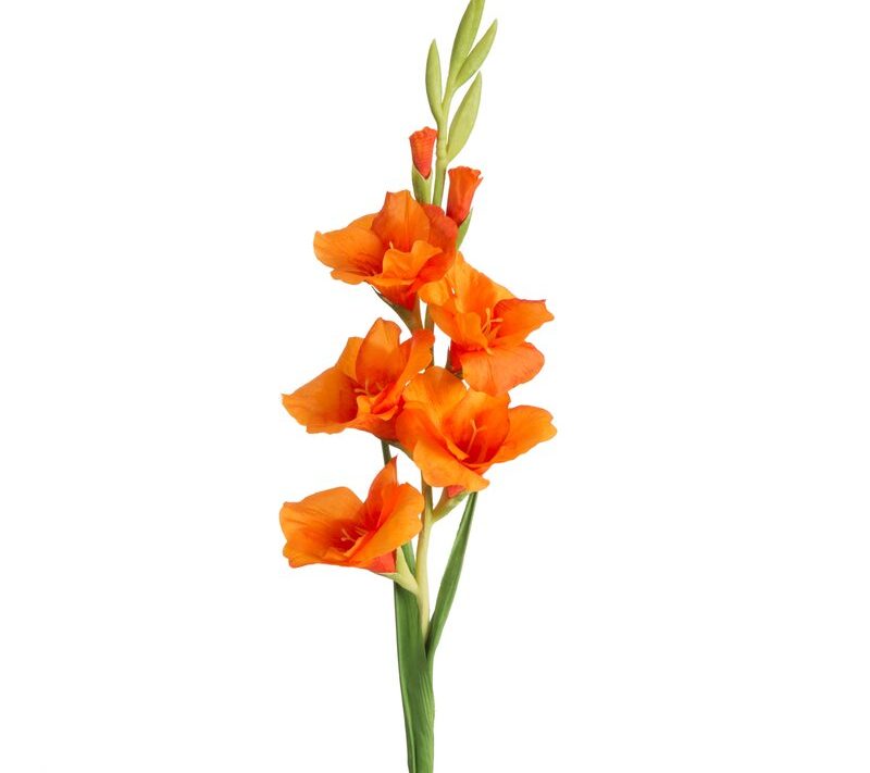 Kwiat dekoracyjny Natura pomarańczowy 85 cm – rozjaśnia wnętrze