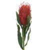 Kwiat Natura 336 ceglasty 63 cm – doda ciepła wnętrzu
