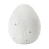 WI/C/EGG/1 11X12 B+SREB