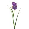 Kwiat irysa fioletowy 61 cm – idealny do wazonu
