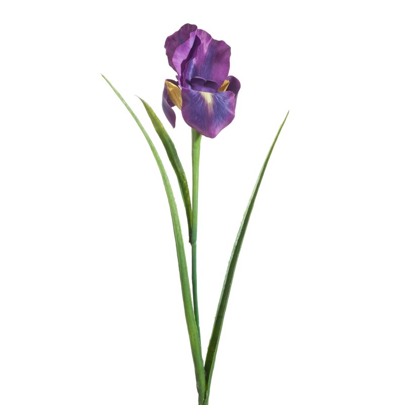 Kwiat irysa fioletowy 61 cm – idealny do wazonu