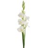 Kwiat Natura kremowy 85 cm – doda wnętrzu świeżości
