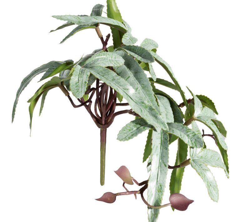 Kwiat Natura 303 jasnozielony 35 cm – wniesie świeżość