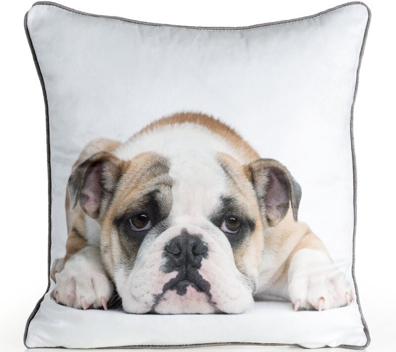 Poszewka Animal 81 biała 45 x 45 cm – wprowadza ciepło