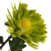 KWIAT FLORE 799 76 CM ZIELONY