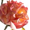 Kwiat Flore 772 pudrowy róż 92 cm – doda uroku wnętrzu