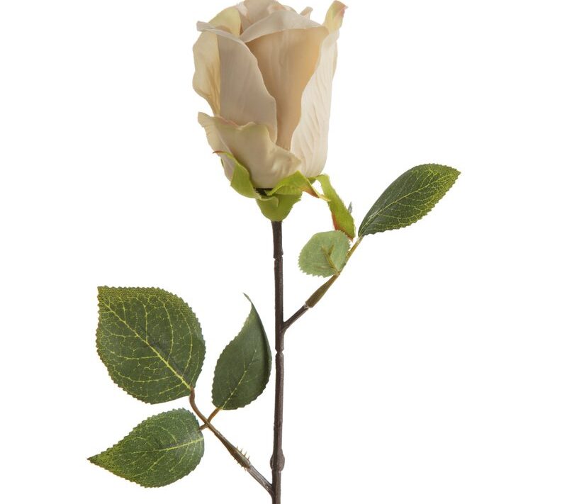 Kwiat naturalny 53 cm – subtelna ozdoba