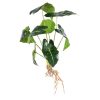 Kwiat Natura zielony 40 cm – ożywi Twoje wnętrze