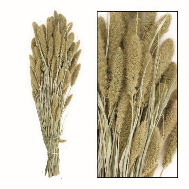 KWIAT NATURA 17 65 CM NATURALNY