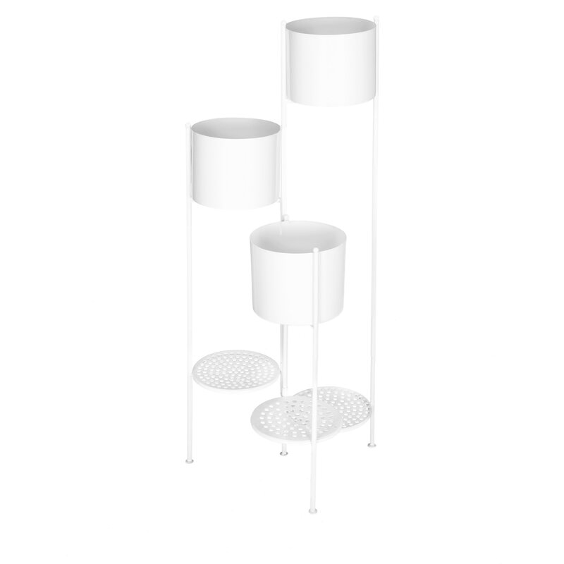 WY/KWIETNIK/69/1 B/38X15X81