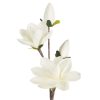 KWIAT FLORE 667 FI 17 X 59 CM KREMOWY