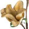 KWIAT FLORE 808 52 CM ŻÓŁTY