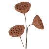 Kwiat Natura 419 ceglasty 63 cm – doda ciepła wnętrzu