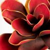 KWIAT FLORE 690 FI 25 X 80 CM CZERWONY
