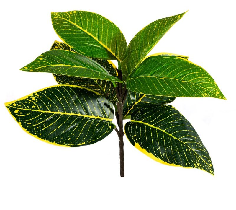 Kwiat Natura zielony 40 cm – ożywi Twoje wnętrze
